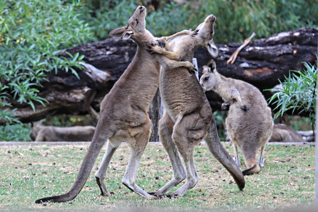 We're so happy we could just DANCE!