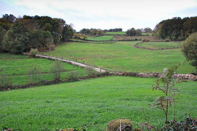 Sometimes we walked alone