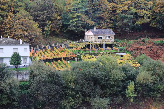 Leaving Potomarin, the view from the other side of the river. There aren't many lawns but lots of gardens.