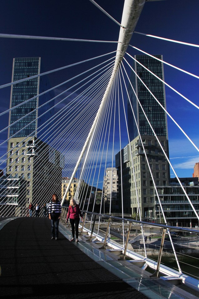 Zubizuri bridge or "string bridge" as we called it