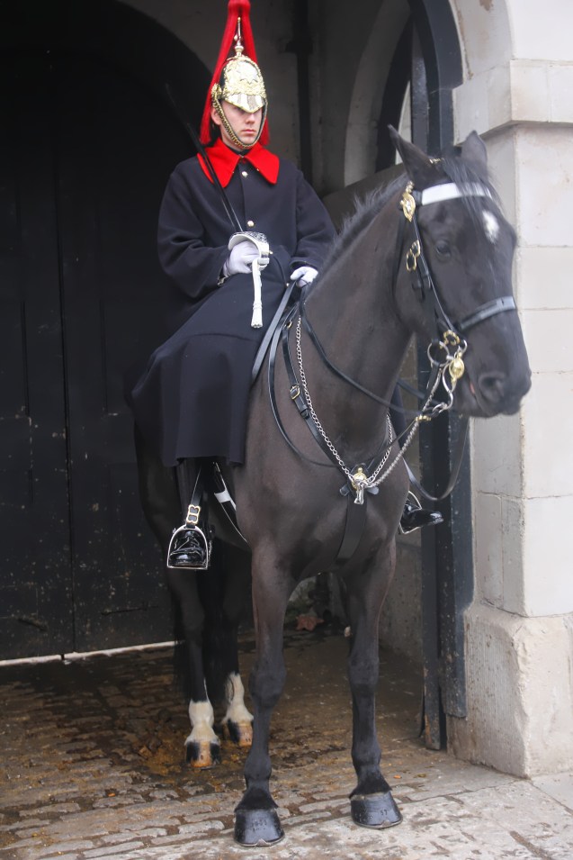Horse guard in front of the Prime Minister's residence