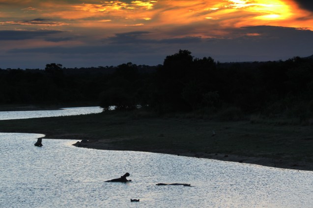 Sunset over the hippos