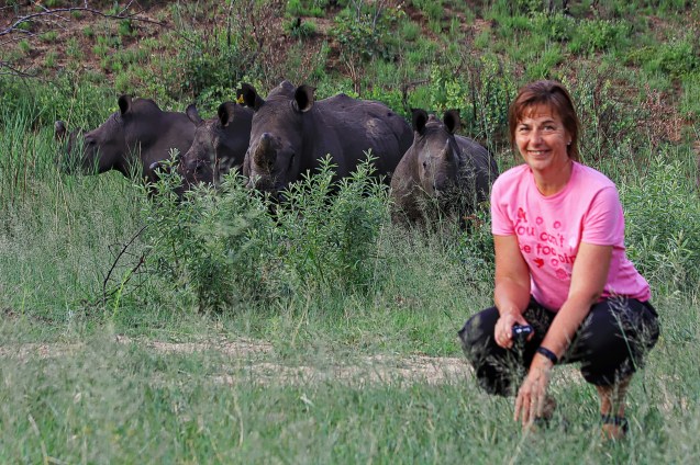 Up close and personal with some rhinos