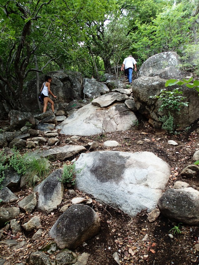 Path to the cave where the paintings are.