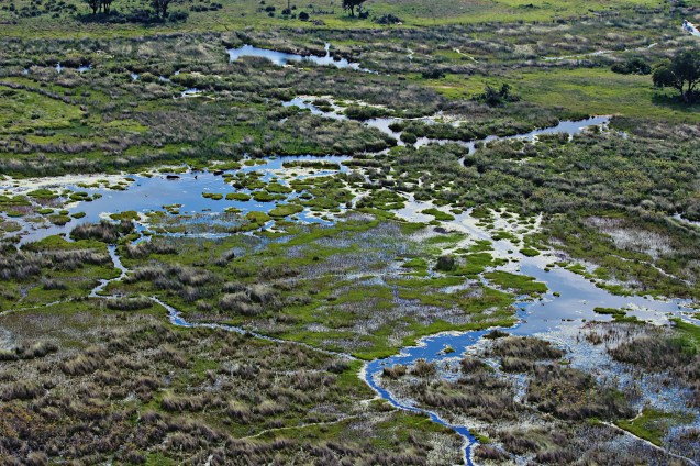 Bird's eye view of the delta