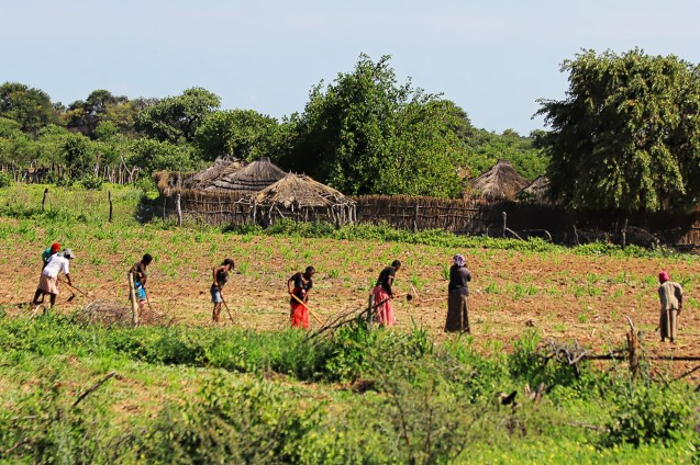 Women working in the field