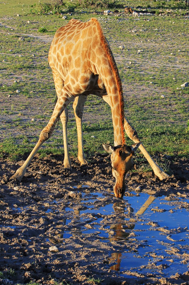 That doesn't look comfortable