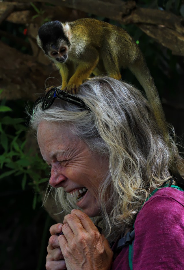 What's more fun than a monkey on your head?