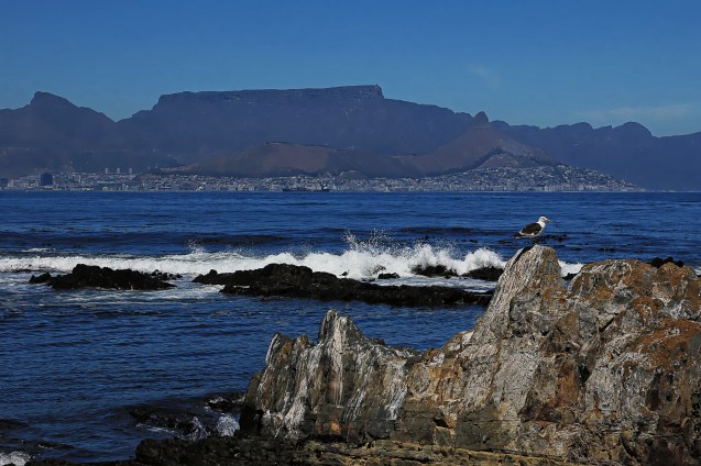 View of Table mountain and Devil's peak from Robben Island