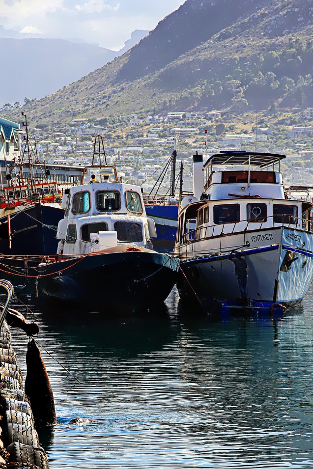 Great view and a man feeding a seal