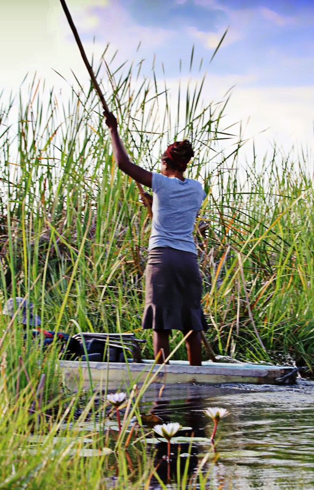 Sandy poling a mokoro