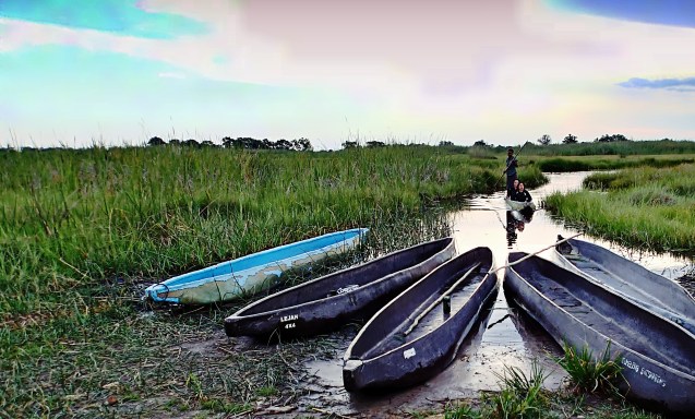 Mokoros in the Delta