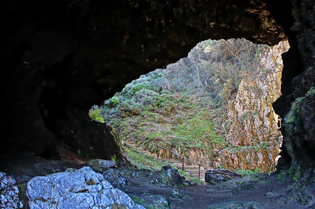 Featherbed national plark