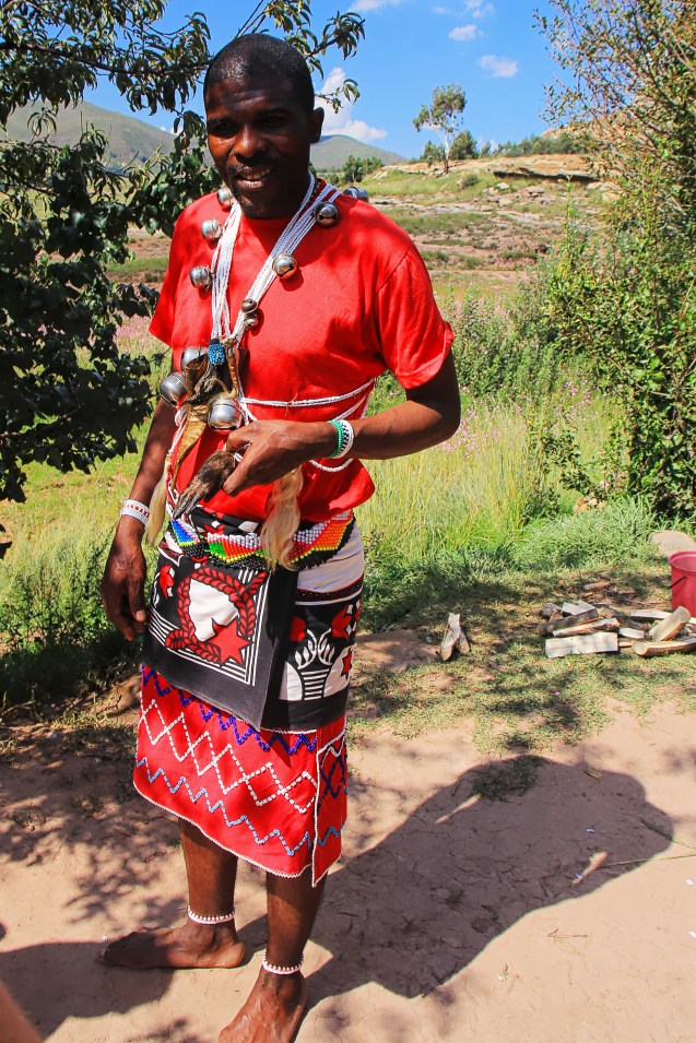 Zulu healer
