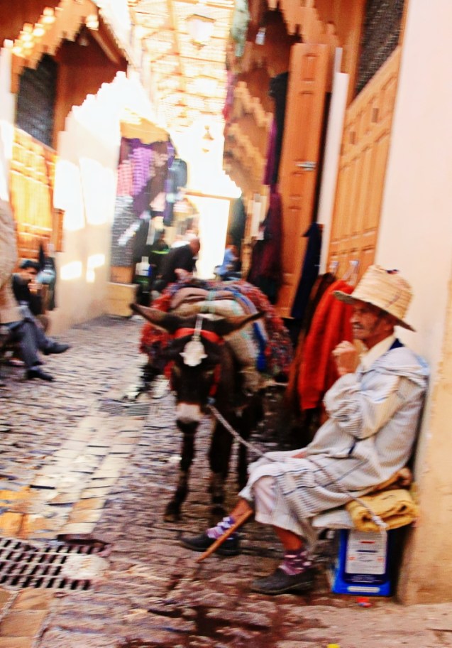 Just hanging out with his donkey