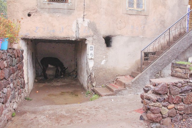 Don't know where to park your donkey?