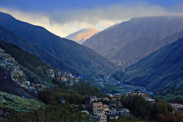 Our view in the morning