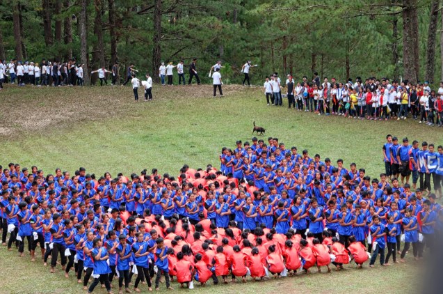 Festival high school competition