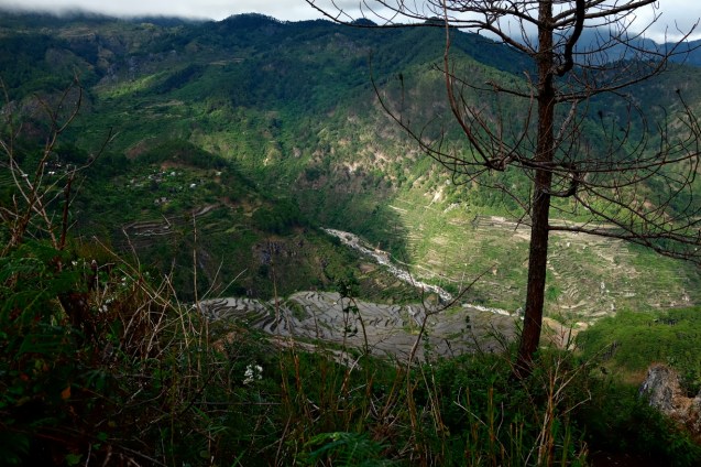 Kiltepan view of the rice terraces