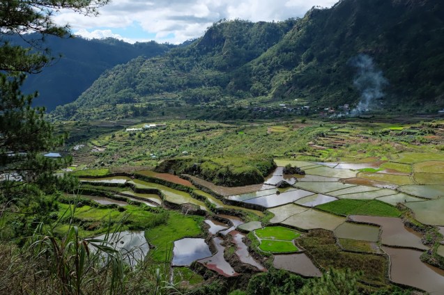 More rice terraces