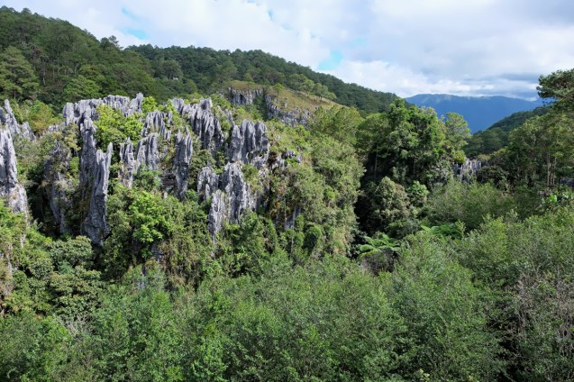 Can you find the hanging coffins?