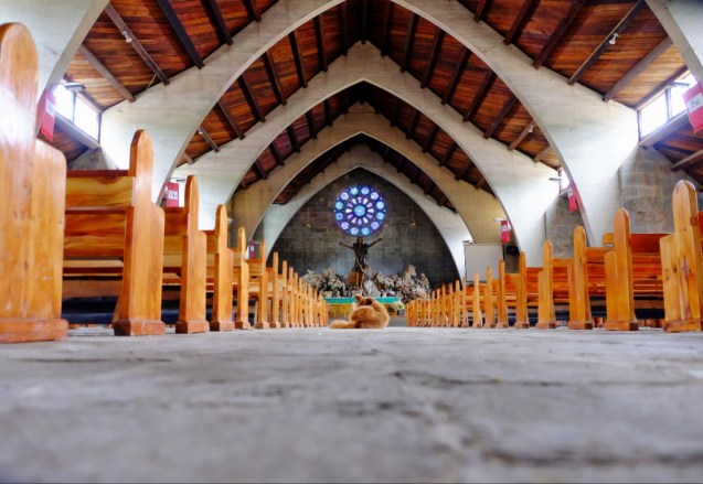 Even dogs get to go to church in Sagada