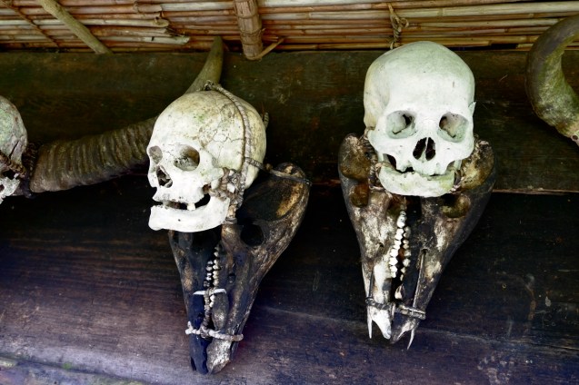 Skulls of Japanese soldiers from WW2. Trophies.