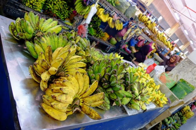 That's a lot of different kinds of bananas!