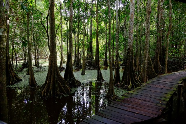 Uncle Tan's wildlife camp