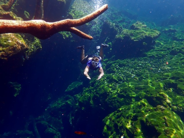 Snorkelling Cenotes in Mexico