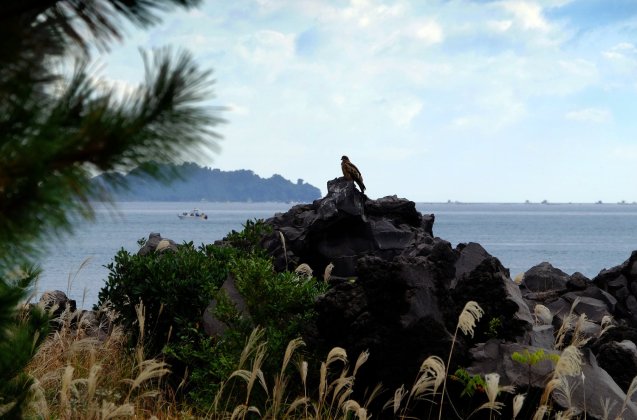 Sakurijima Island. An active volcano